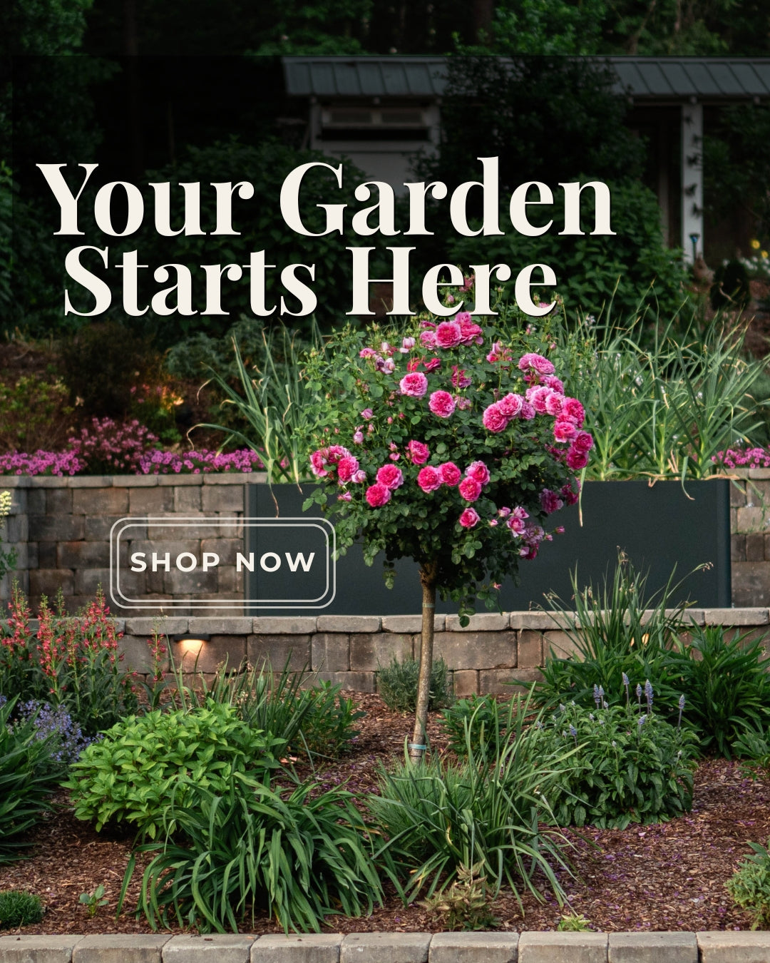 Creekside Nursery, Inc | Garden Center | Dallas, NC