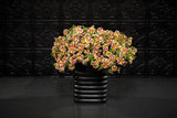Trailing calibrachoa with yellow flowers in a hanging basket