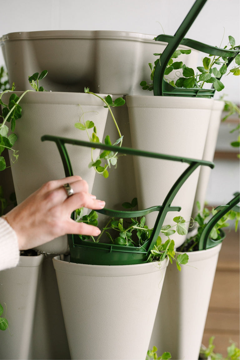 cheap plant trellis GreenStalk Garden Trellis