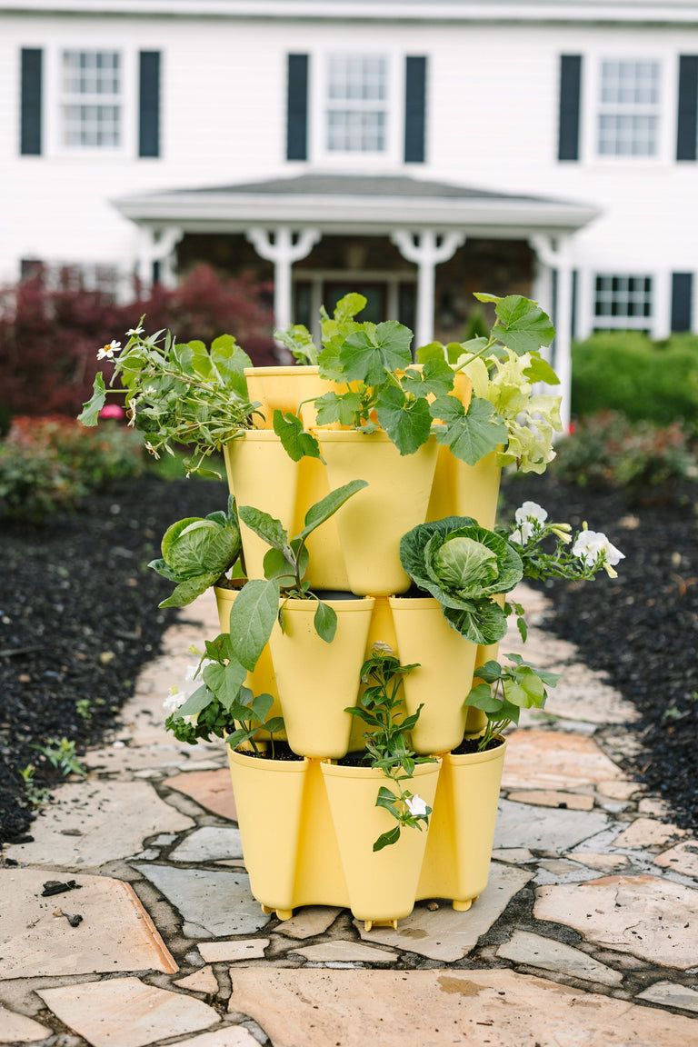 ask this old house vertical planter 3 Tier GreenStalk Garden Original Vertical Planter