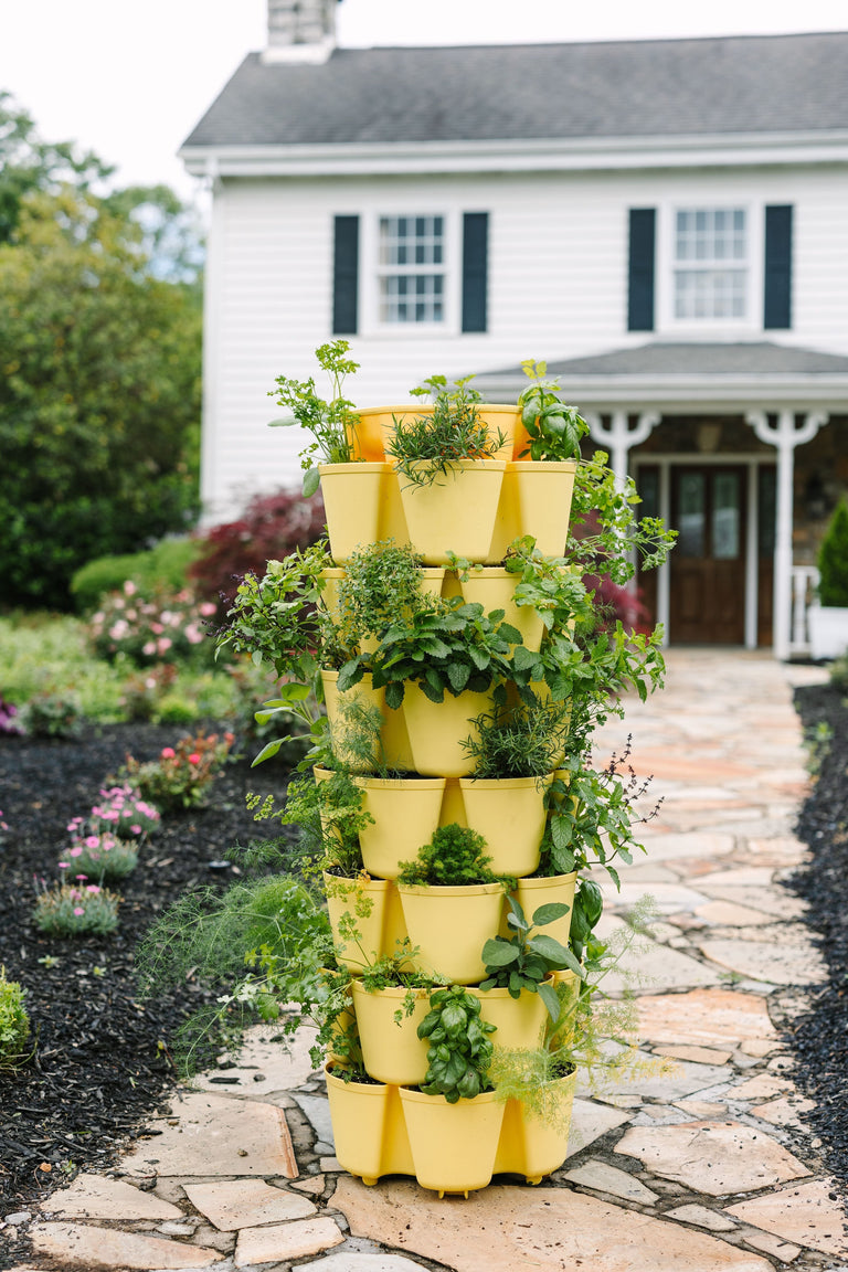 7 leafed house plant 7 Tier GreenStalk Garden Leaf Vertical Planter