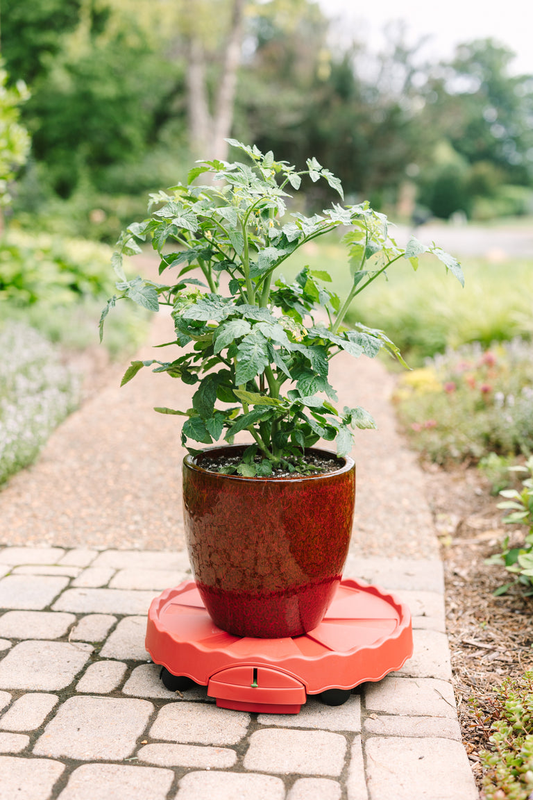plant pot mover GreenStalk Garden Ultimate Mover – Creekside Nursery, Inc