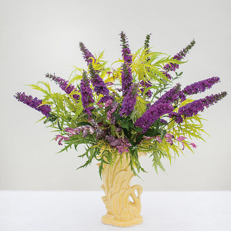 Miss Violet butterfly bush with purple flower spikes in pot