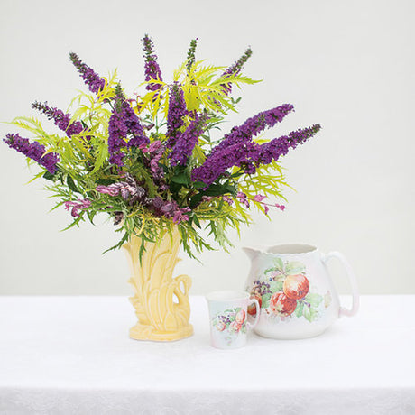 Miss Violet butterfly bush with purple blooms in a pot
