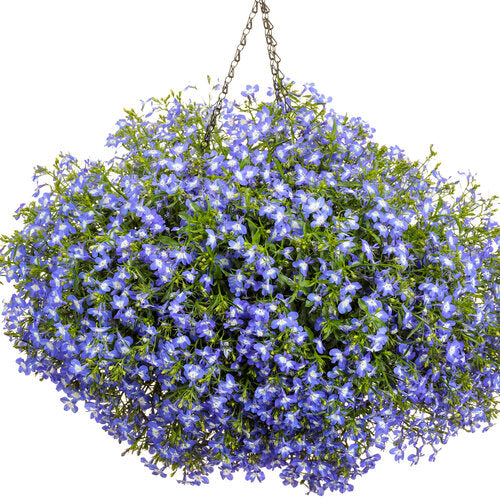 Laguna Royale Blue Pearl