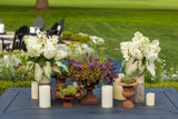 Fire Light Tidbit panicle hydrangea with pink blooms in pot