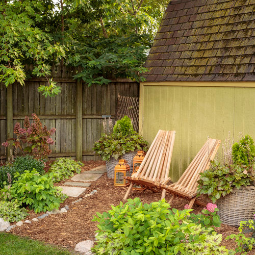 GEM BOX® Inkberry Holly | Proven Winners® – Creekside Nursery, Inc