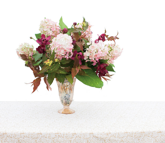 Proven Winners Aphrodite Sweetshrub - Thumbnail 4