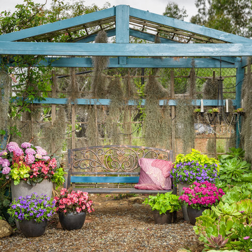 Rockapulco® Purple Double Impatiens | Proven Winners® – Creekside