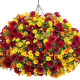 Yellow calibrachoa in a nursery pot with trailing blooms