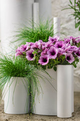 Fiber optic grass in a nursery pot with fine green blades